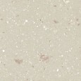 Fossil Solid Surface Swatch